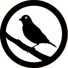 Canary Logo